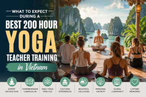 Best 200 Hour Yoga Teacher Training in Vietnam