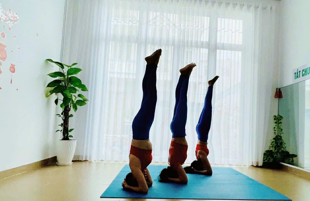 Why Choose Vietnam for Yoga Teacher Training in 2026?