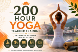 200 Hour Yoga Teacher Training