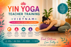 Yin Yoga Teacher Training In Vietnam